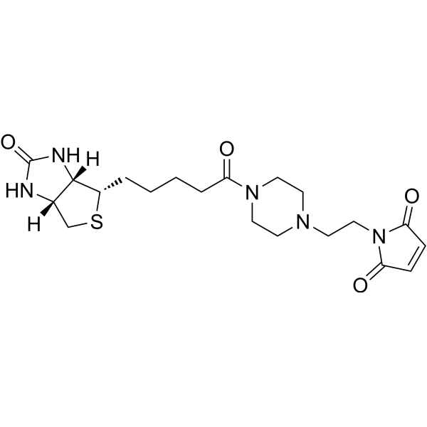 Biotin-PE-maleimide 374592-99-1